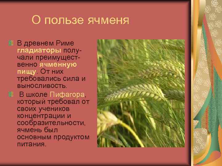  О пользе ячменя В древнем Риме гладиаторы получали преимущественно ячменную пищу. От них