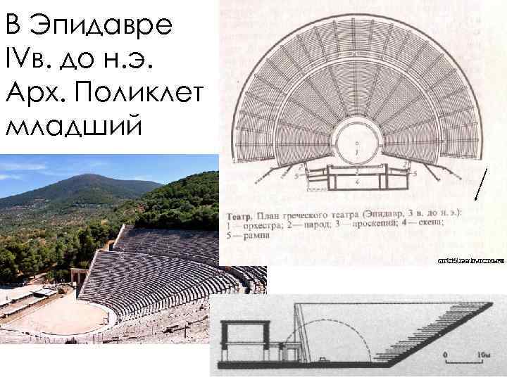 В Эпидавре IVв. до н. э. Арх. Поликлет младший 