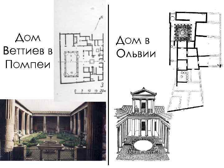 Дом Веттиев в Помпеи Дом в Ольвии 