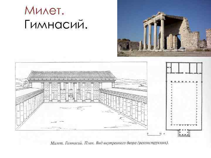 Милет. Гимнасий. 