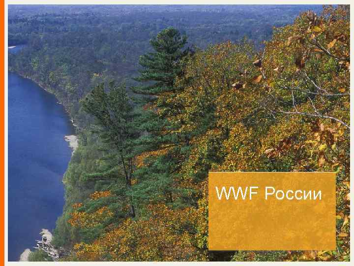 WWF России 