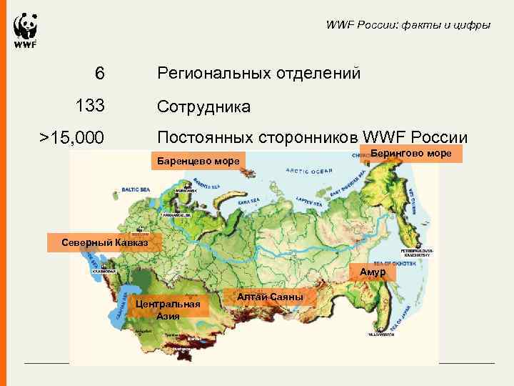 WWF России: факты и цифры Региональных отделений 6 133 Сотрудника Постоянных сторонников WWF России