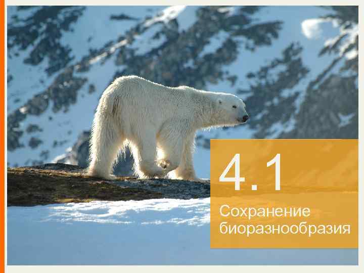 4. 1 Сохранение биоразнообразия 