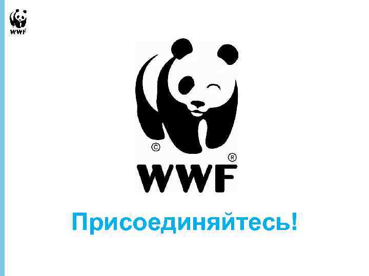 Wwf презентация на английском