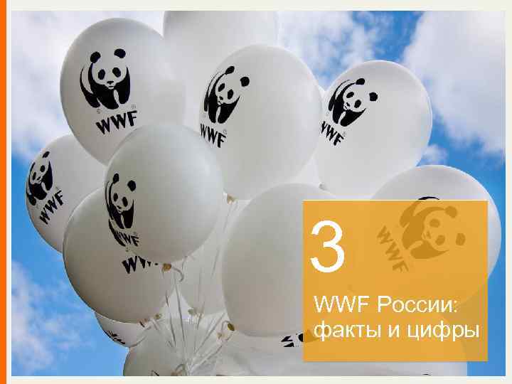 3 WWF России: факты и цифры 