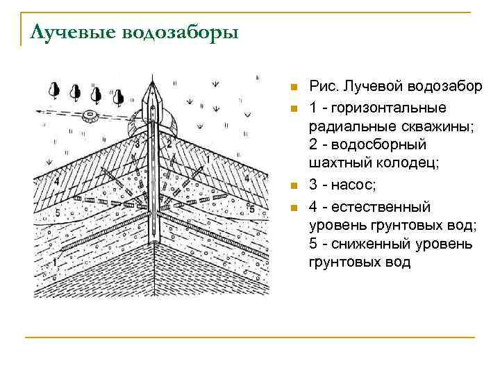 Лучевые водозаборы n n Рис. Лучевой водозабор 1 горизонтальные радиальные скважины; 2 водосборный шахтный