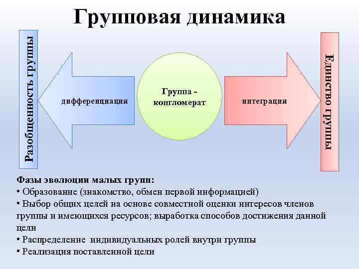 дифференциация Группа конгломерат интеграция Единство группы Разобщенность группы Групповая динамика Фазы эволюции малых групп: