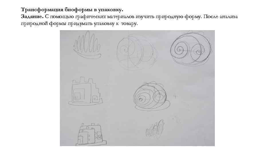 Трансформация биоформы в упаковку. Задание. С помощью графических материалов изучить природную форму. После анализа