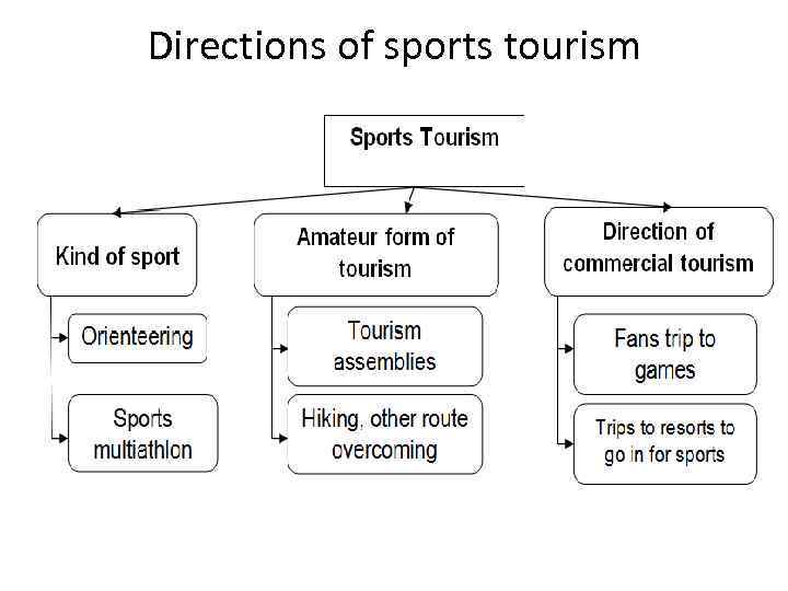 Directions of sports tourism 