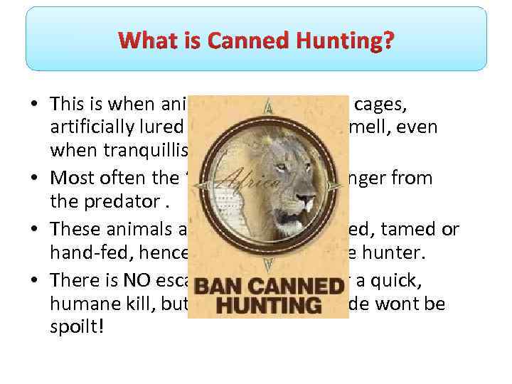 What is Canned Hunting? • This is when animals are hunted in cages, artificially
