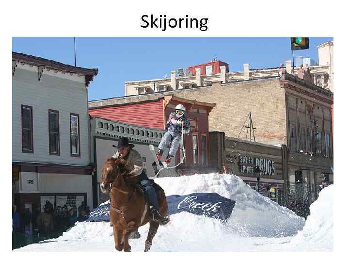 Skijoring 