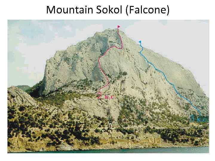 Mountain Sokol (Falcone) 