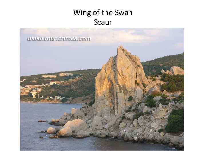 Wing of the Swan Scaur 