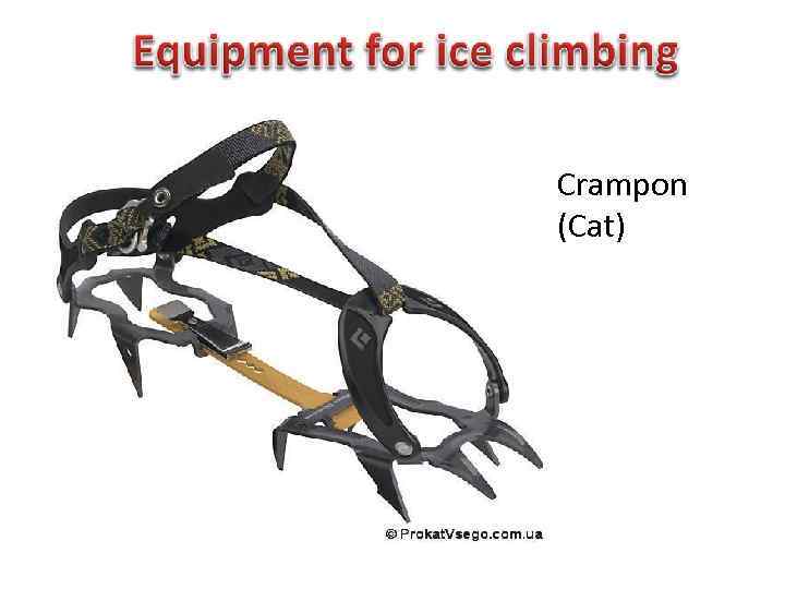 Crampon (Cat) 