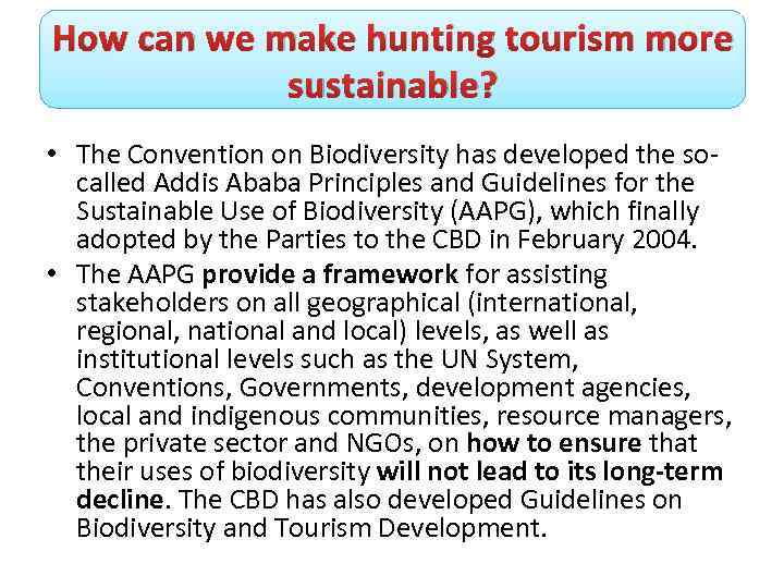 How can we make hunting tourism more sustainable? • The Convention on Biodiversity has
