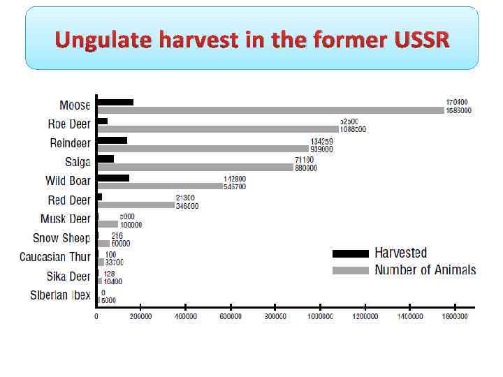 Ungulate harvest in the former USSR 