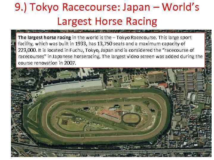 9. ) Tokyo Racecourse: Japan – World’s Largest Horse Racing The largest horse racing
