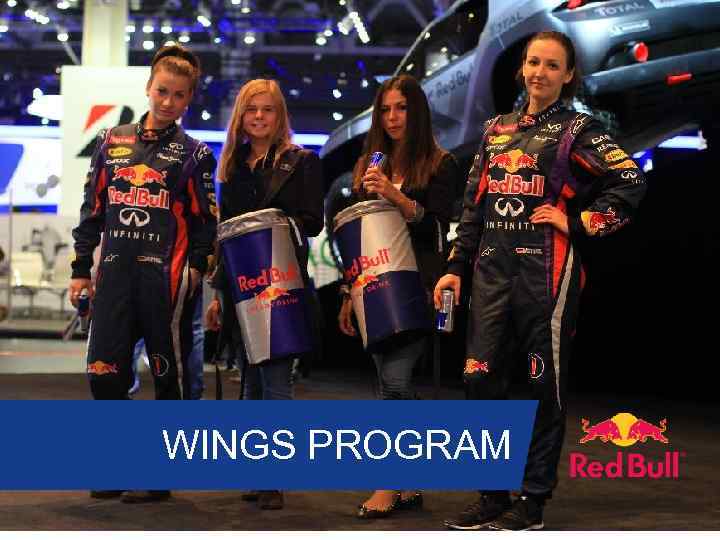 WINGS PROGRAM 