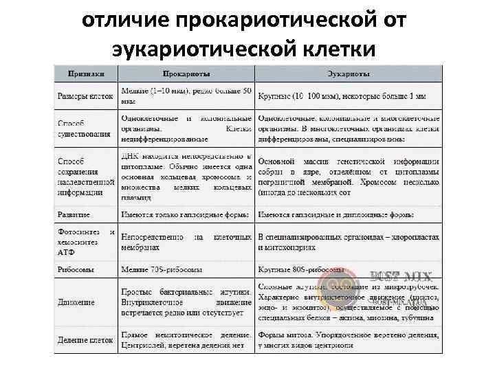 отличие прокариотической от эукариотической клетки 
