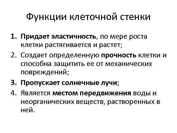 Функции клеточной системы. Функции клеточной стенки. Прочность клеточной стенки. Функции клетки. Клеточная стенка ее функции.