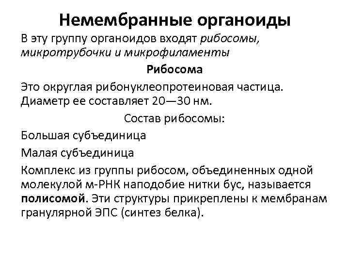 Немембранные органоиды В эту группу органоидов входят рибосомы, микротрубочки и микрофиламенты Рибосома Это округлая
