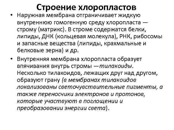 Строение хлоропластов • Наружная мембрана отграничивает жидкую внутреннюю гомогенную среду хлоропласта — строму (матрикс).
