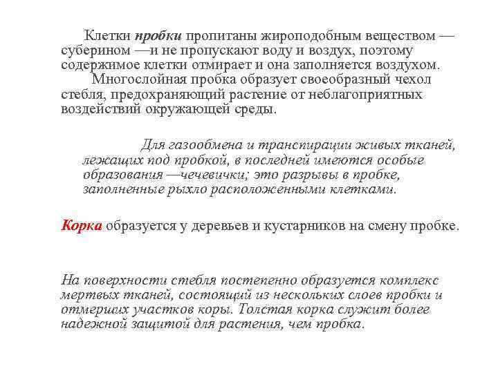  Клетки пробки пропитаны жироподобным веществом — суберином —и не пропускают воду и воздух,