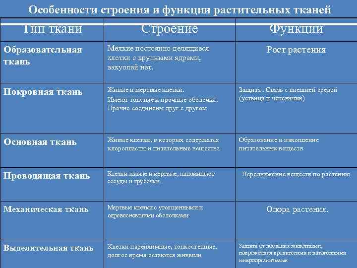 Особенности строения и функции растительных тканей Тип ткани Строение Функции Образовательная ткань Мелкие постоянно