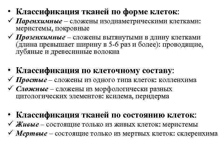  • Классификация тканей по форме клеток: ü Паренхимные – сложены изодиаметрическими клетками: меристемы,