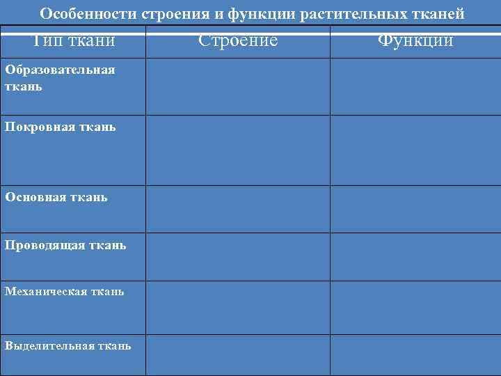 Особенности строения и функции растительных тканей Тип ткани Образовательная ткань Покровная ткань Основная ткань