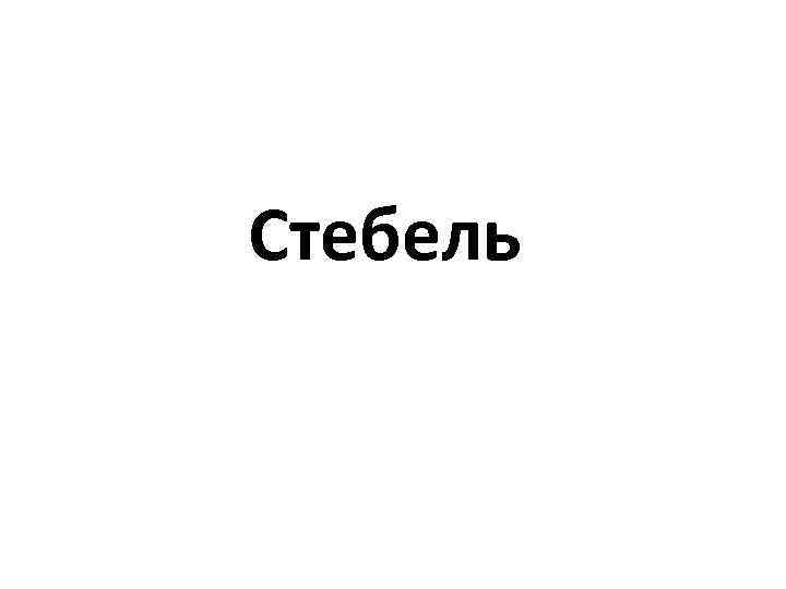 Стебель 