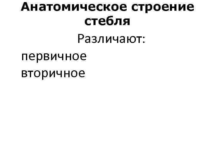 Анатомическое строение стебля Различают: первичное вторичное 