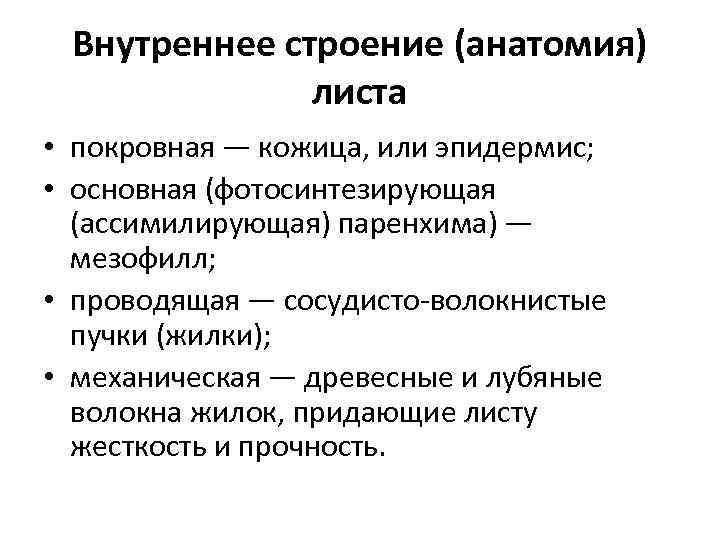 Внутреннее строение (анатомия) листа • покровная — кожица, или эпидермис; • основная (фотосинтезирующая (ассимилирующая)