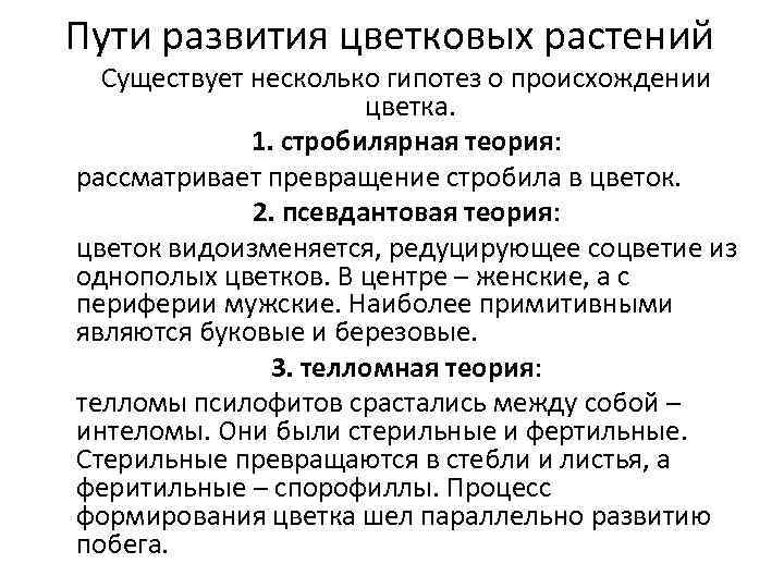 Пути развития цветковых растений Существует несколько гипотез о происхождении цветка. 1. стробилярная теория: рассматривает