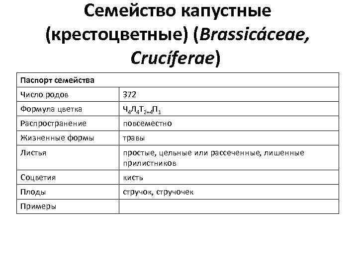 Семейство капустные (крестоцветные) (Brassicáceae, Crucíferae) Паспорт семейства Число родов 372 Формула цветка Ч 4