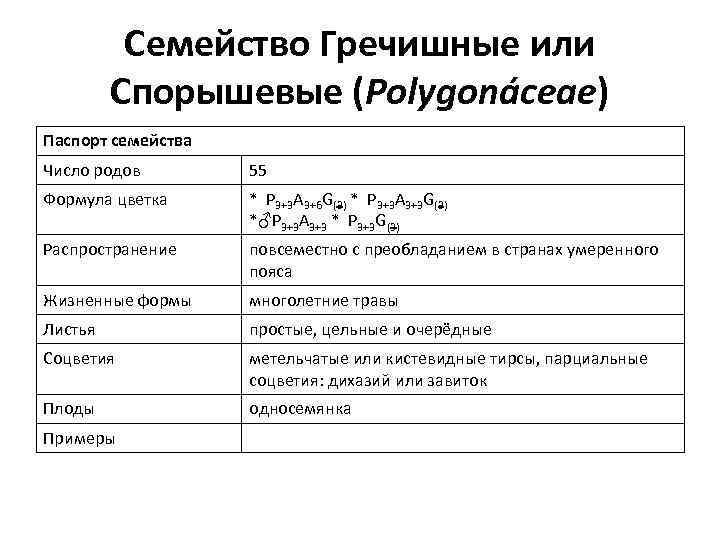 Семейство Гречишные или Спорышевые (Polygonáceae) Паспорт семейства Число родов 55 Формула цветка * Р