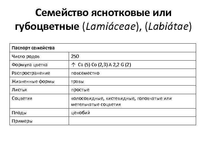 Семейство яснотковые или губоцветные (Lamiáceae), (Labiátae) Паспорт семейства Число родов 250 Формула цветка ↑