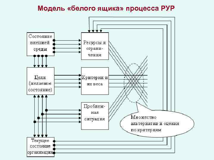 Модель «белого ящика» процесса РУР 