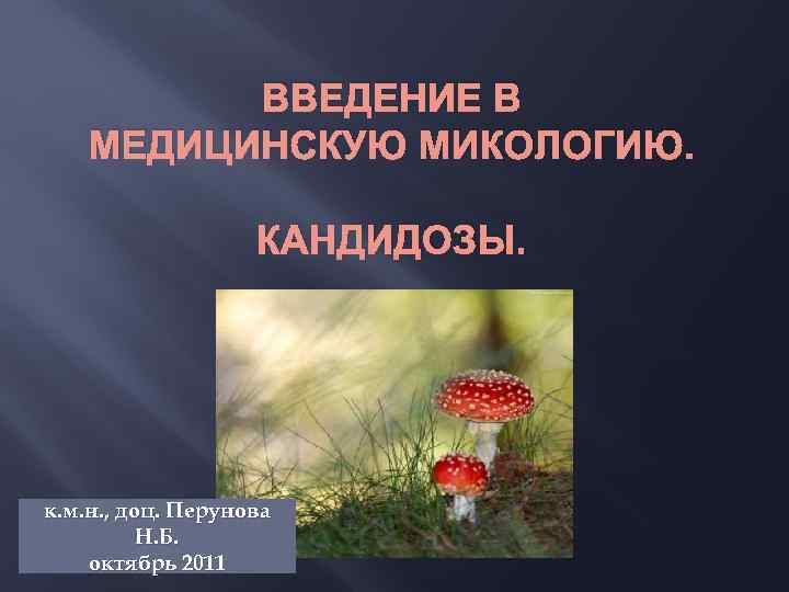 ВВЕДЕНИЕ В МЕДИЦИНСКУЮ МИКОЛОГИЮ. КАНДИДОЗЫ. к. м. н. , доц. Перунова Н. Б. октябрь