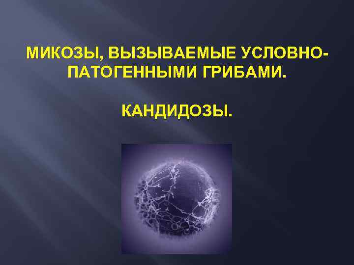 МИКОЗЫ, ВЫЗЫВАЕМЫЕ УСЛОВНОПАТОГЕННЫМИ ГРИБАМИ. КАНДИДОЗЫ. 