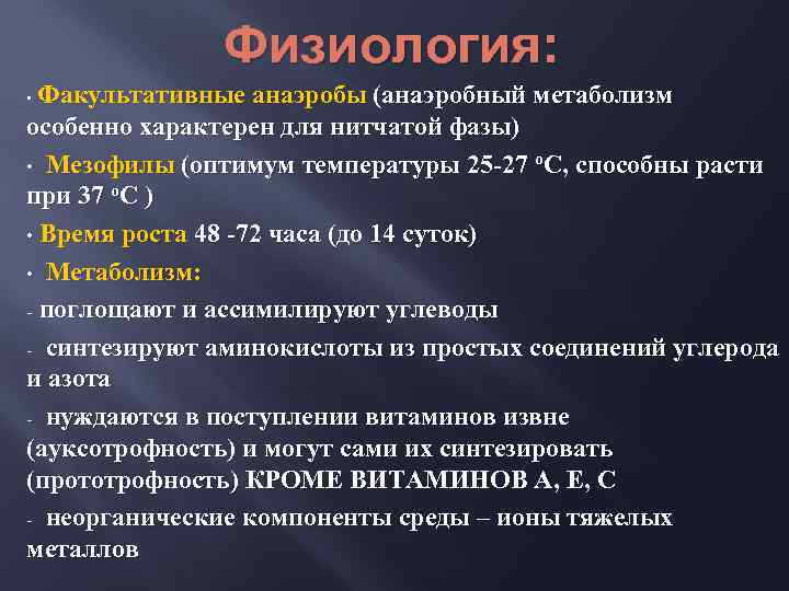 Физиология: Факультативные анаэробы (анаэробный метаболизм особенно характерен для нитчатой фазы) • Мезофилы (оптимум температуры