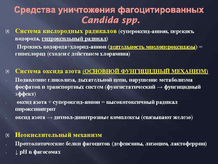 Средства уничтожения фагоцитированных Candida spp. Система кислородных радикалов (супероксид-анион, перекись водорода, гидроксильный радикал) Перекись