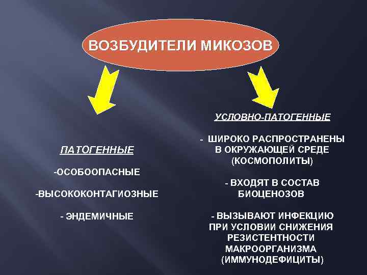 ВОЗБУДИТЕЛИ МИКОЗОВ УСЛОВНО-ПАТОГЕННЫЕ - ШИРОКО РАСПРОСТРАНЕНЫ В ОКРУЖАЮЩЕЙ СРЕДЕ (КОСМОПОЛИТЫ) -ОСОБООПАСНЫЕ -ВЫСОКОКОНТАГИОЗНЫЕ - ЭНДЕМИЧНЫЕ