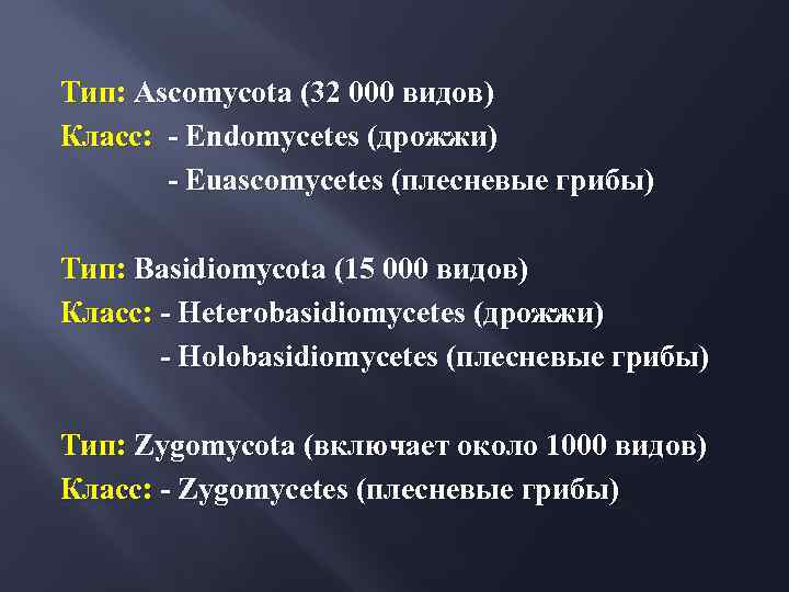Тип: Ascomycota (32 000 видов) Класс: - Endomycetes (дрожжи) - Euascomycetes (плесневые грибы) Тип: