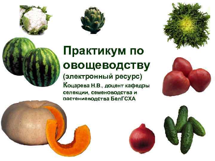 Практикум по овощеводству (электронный ресурс) Коцарева Н. В. , доцент кафедры селекции, семеноводства и