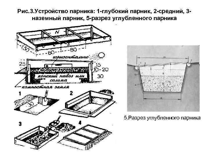 Рис. 3. Устройство парника: 1 глубокий парник, 2 средний, 3 наземный парник, 5 разрез