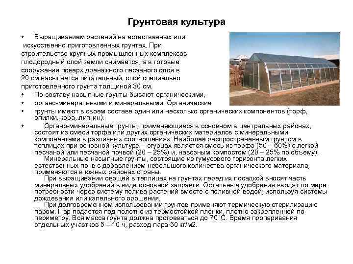 Грунтовая культура • Выращиванием растений на естественных или искусственно приготовленных грунтах. При строительстве крупных