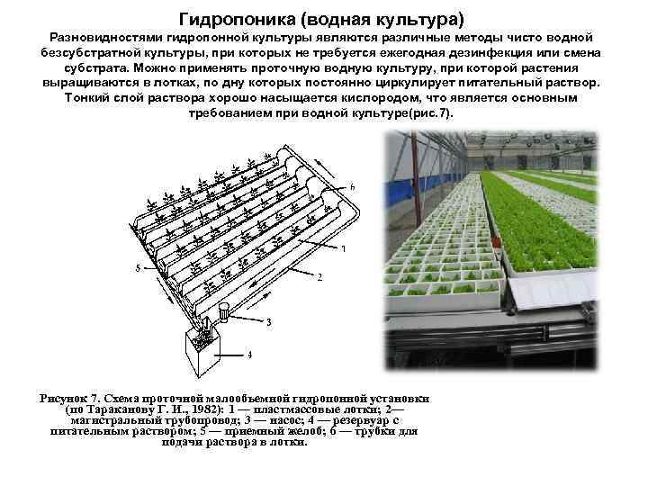 Гидропоника (водная культура) Разновидностями гидропонной культуры являются различные методы чисто водной безсубстратной культуры, при