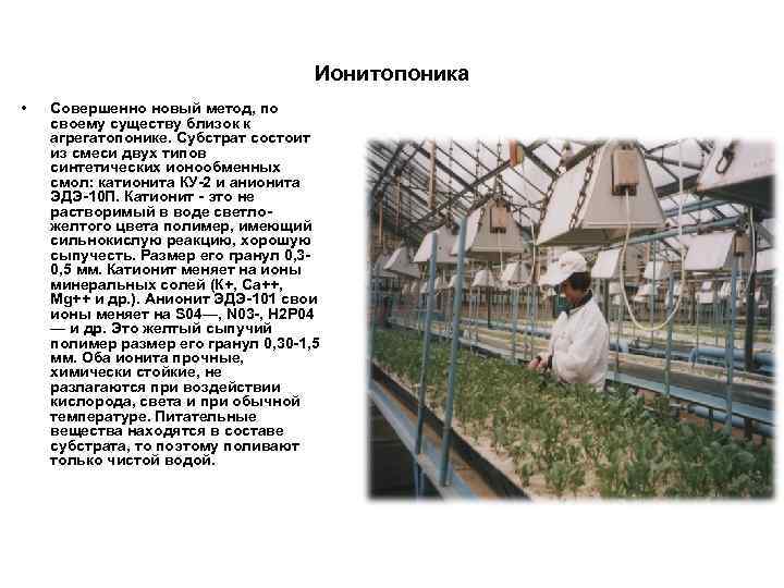 Ионитопоника • Совершенно новый метод, по своему существу близок к агрегатопонике. Субстрат состоит из