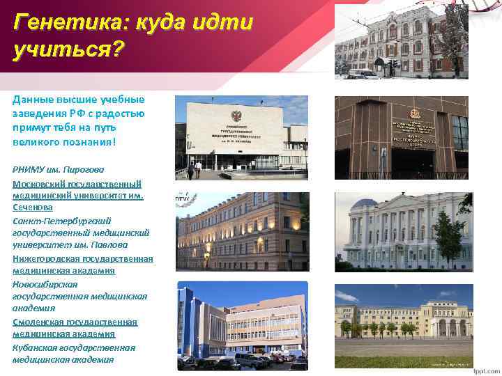 Генетика: куда идти учиться? Данные высшие учебные заведения РФ с радостью примут тебя на